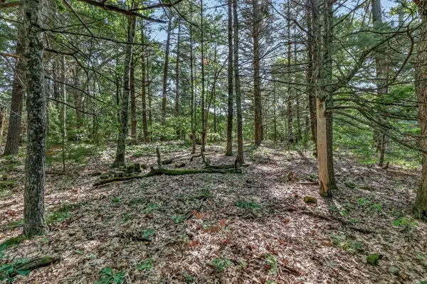 VL W Michigan Road #B, Twin Lake, MI 49457
