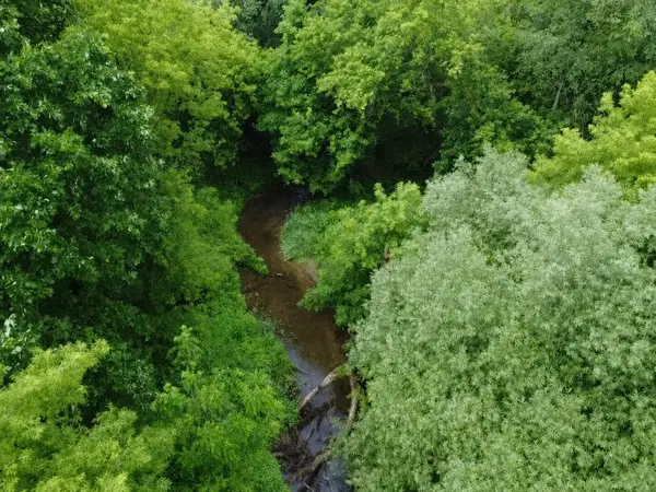 VL Hough Road, Almont, MI 48003