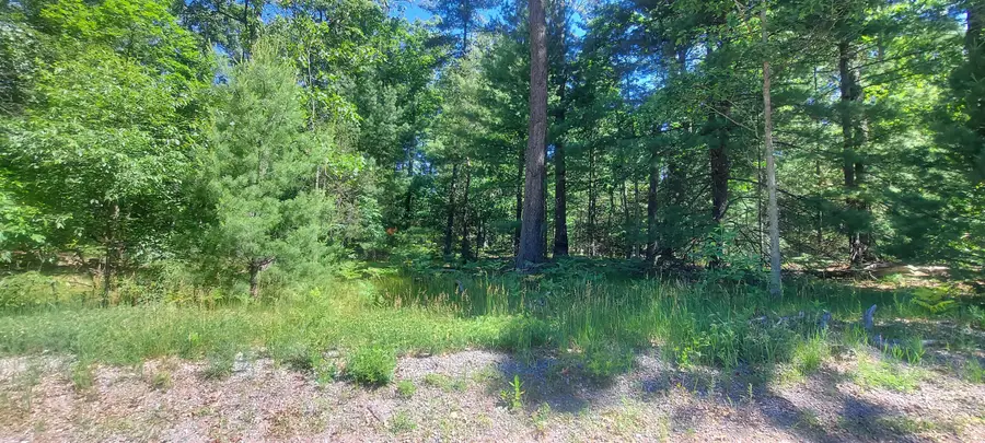 V/L Beverlyway Drive, Twin Lake, MI 49457 - #2