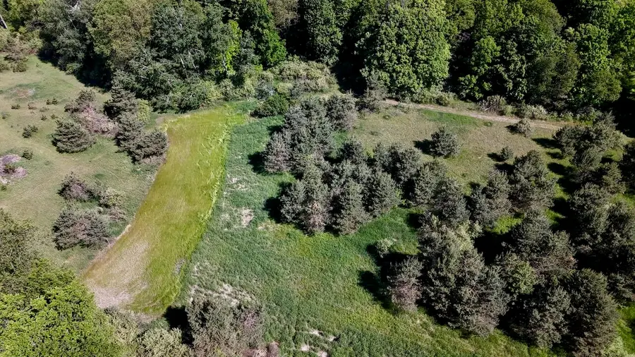 5595 75th Avenue, Mecosta, MI 49332 - #3
