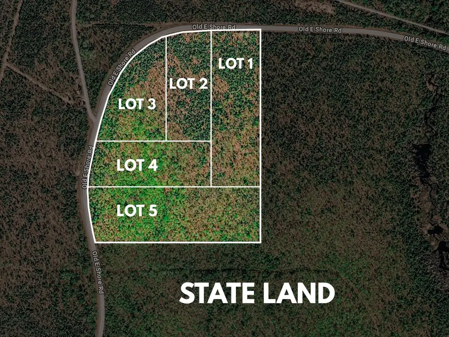 Lot 4 E Shore Road, Bergland, MI 49910 - #3