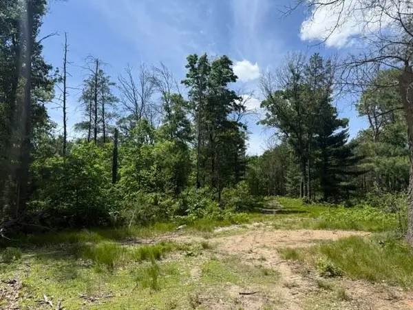 Parcel 2 Grove Street, Baldwin, MI 49304