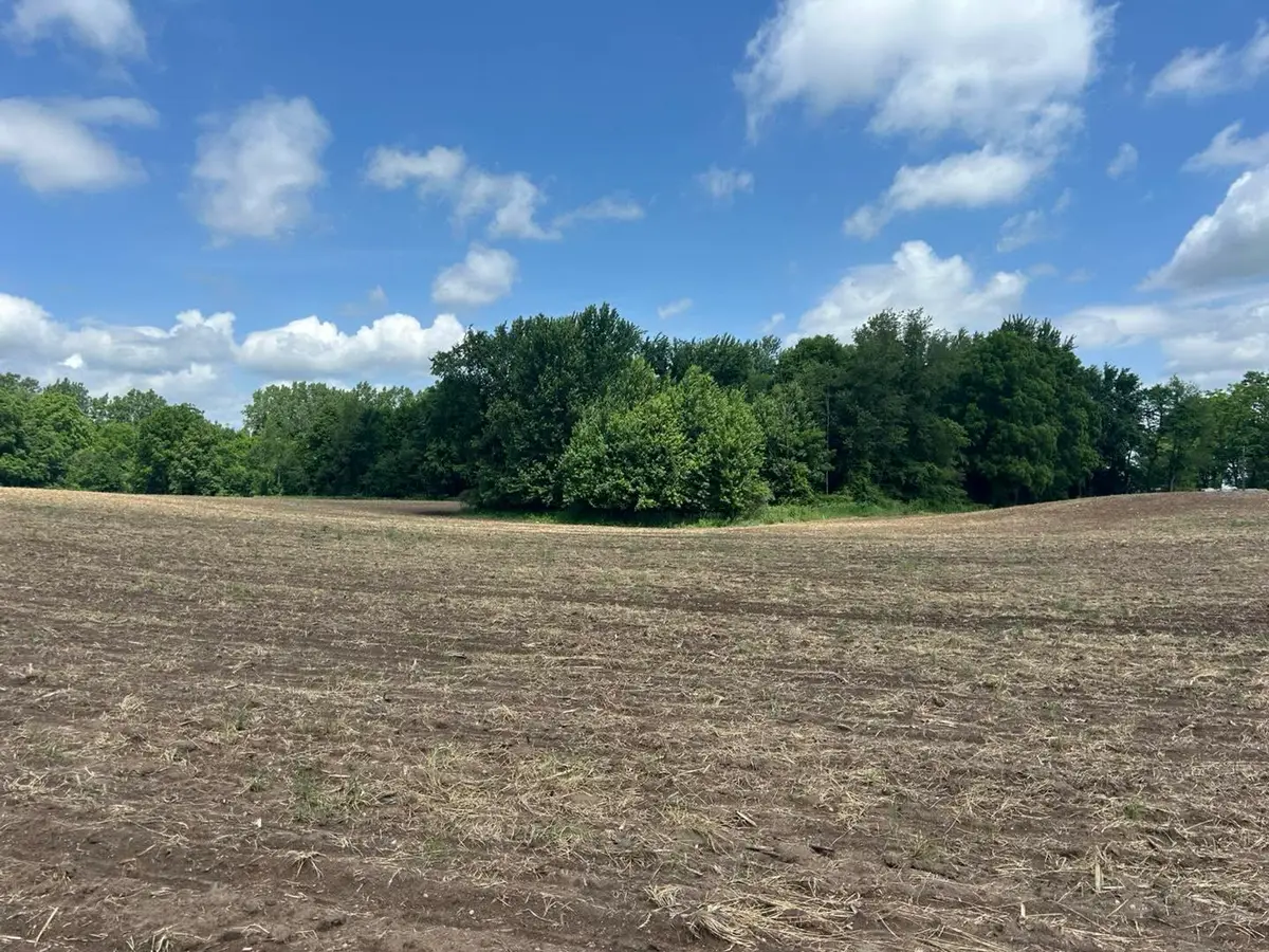 1750 Pierce Road, Quincy, MI 49082 - #1