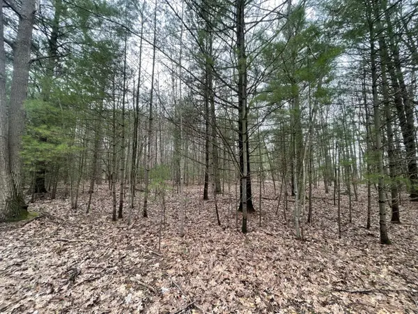 N Schoenherr Road, Free Soil, MI 49411
