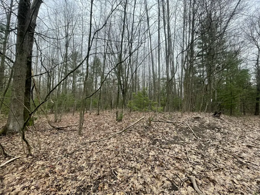 N Schoenherr Road, Free Soil, MI 49411 - #3
