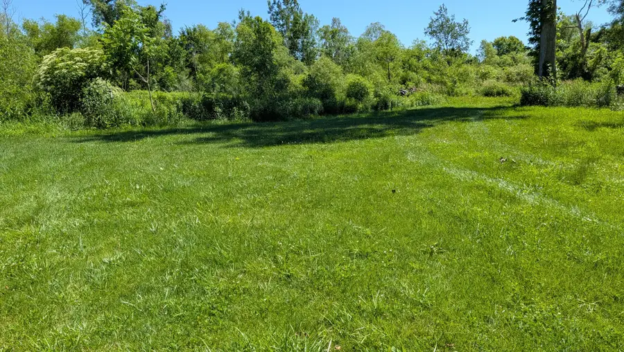 113th Avenue, Fennville, MI 49408 - #2