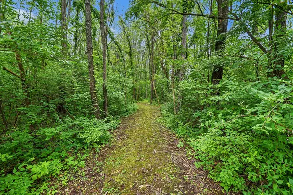 V/L Forest Shores Drive #9 Lot, Cassopolis, MI 49031