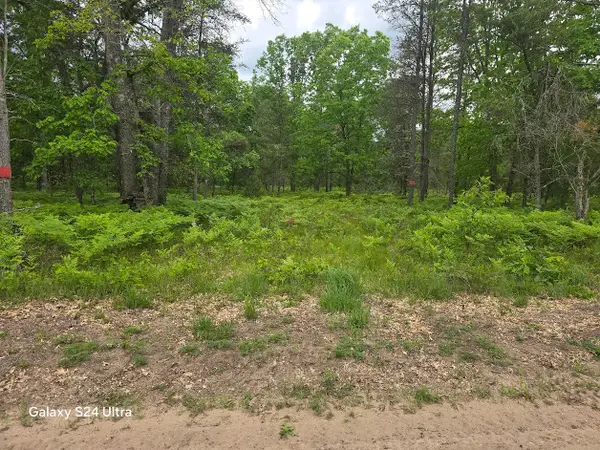 0000 S Forman Road #3, Baldwin, MI 49304