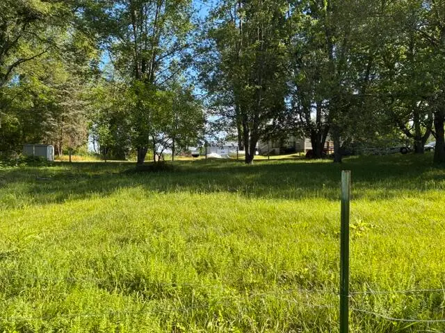 224 Prairie River Drive, Coldwater, MI 49036 - #1