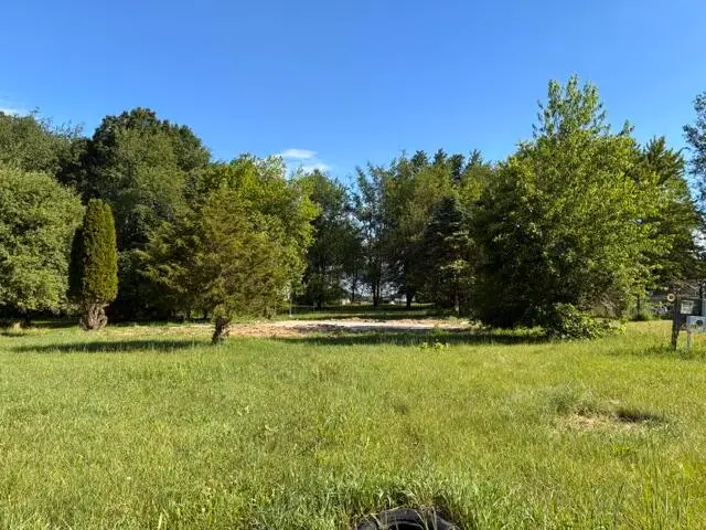 224 Prairie River Drive, Coldwater, MI 49036 - #2
