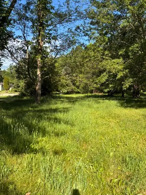 224 Prairie River Drive, Coldwater, MI 49036 - #3