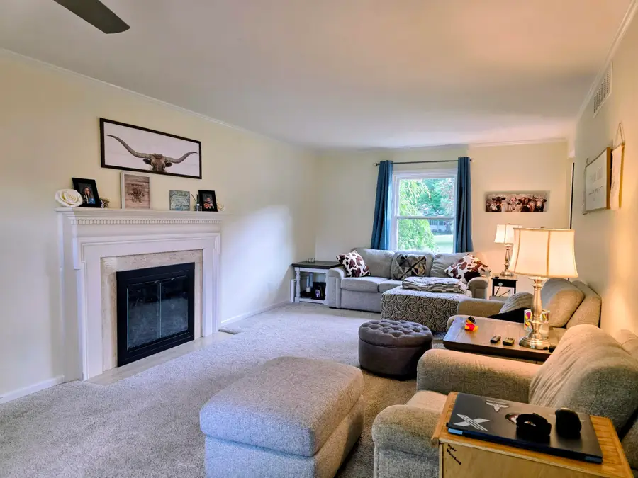 74 Carlyle Avenue, Coldwater, MI 49036 - #3