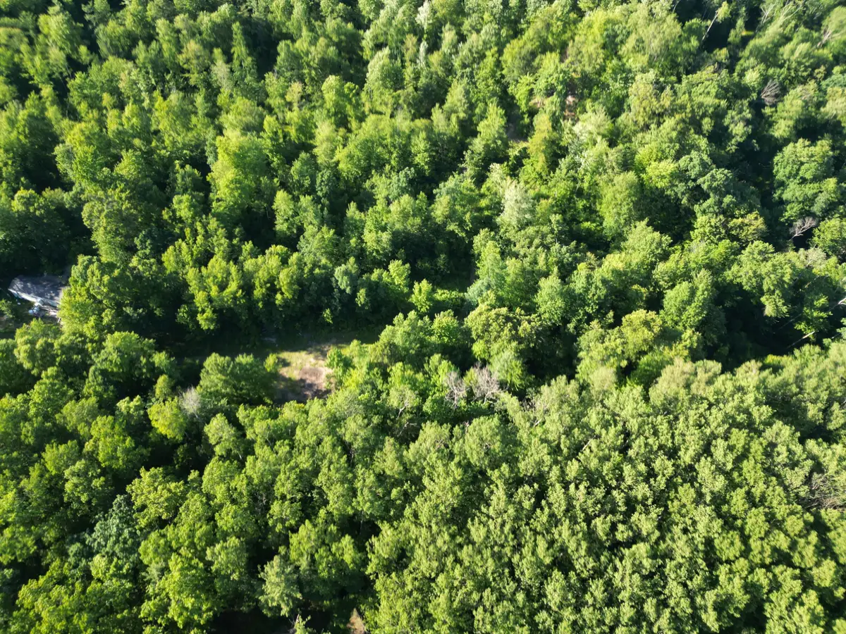 5170 Rocky Top Parcel C Lane, Pierson, MI 49339 - #1