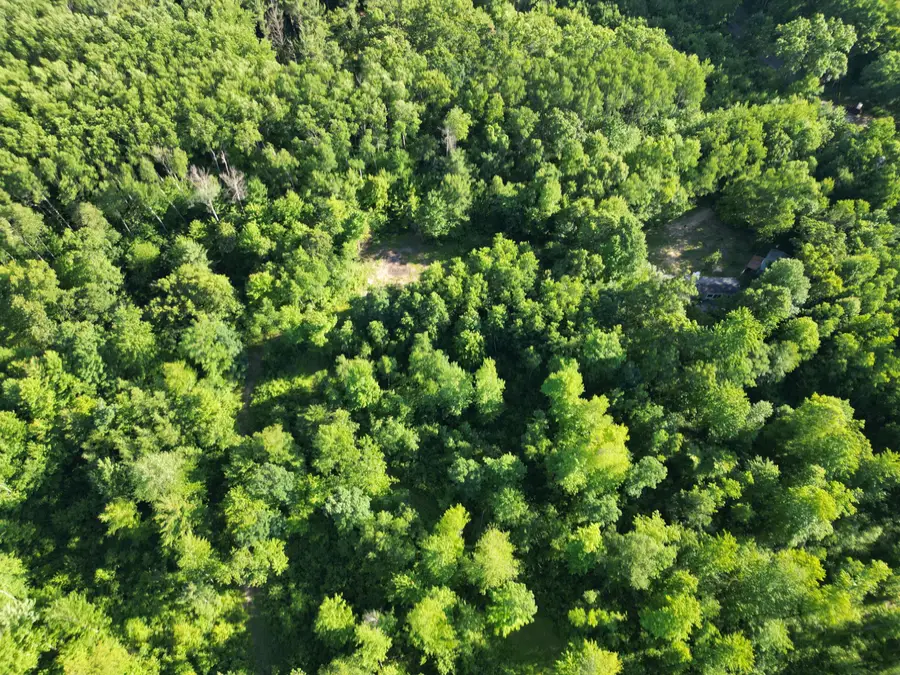 5170 Rocky Top Parcel C Lane, Pierson, MI 49339 - #2