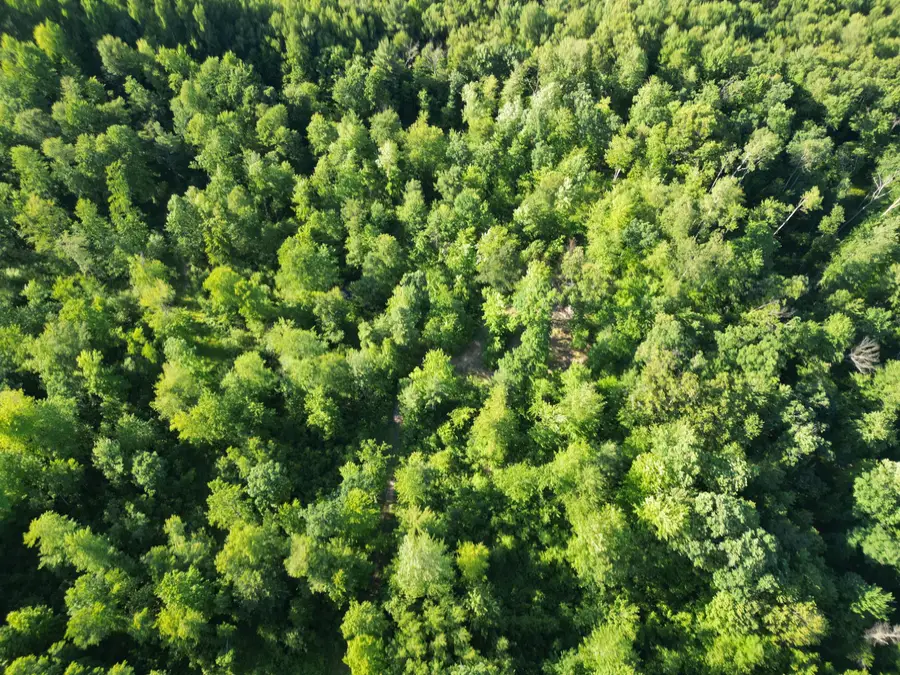 5170 Rocky Top Parcel C Lane, Pierson, MI 49339 - #3
