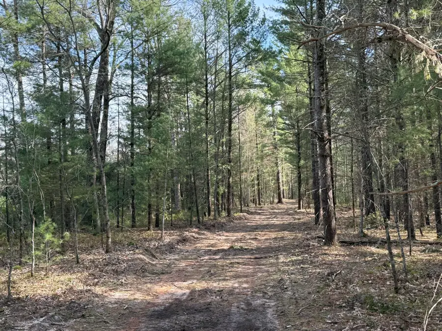 Parcel D Critter Trail, Manistee, MI 49660 - #2
