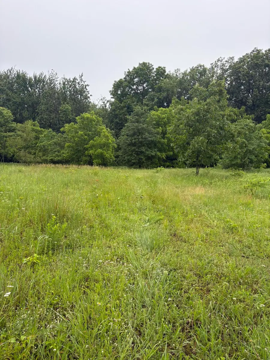 69704 Garver Lake Road, Edwardsburg, MI 49112 - #2