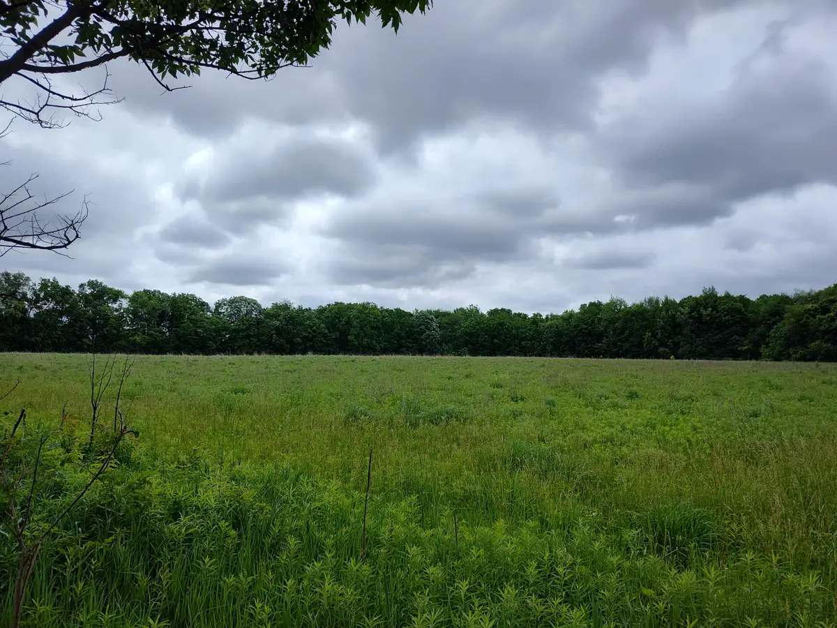 E Division Street, Sherwood, MI 49089 - #1