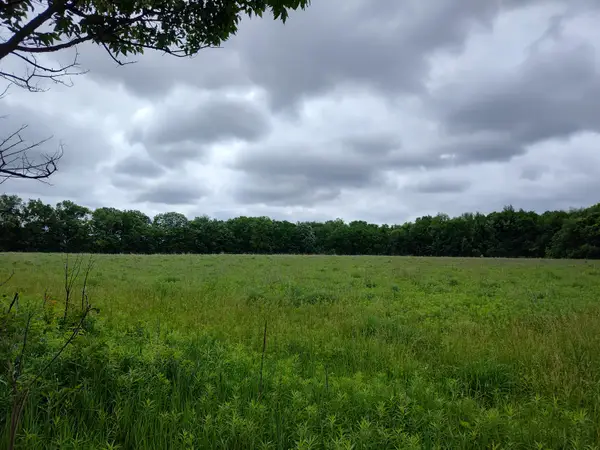 E Division Street, Sherwood, MI 49089
