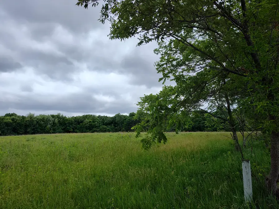 E Division Street, Sherwood, MI 49089 - #2