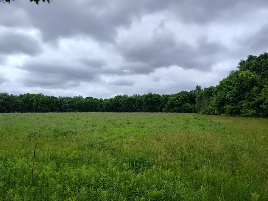 E Division Street, Sherwood, MI 49089 - #3