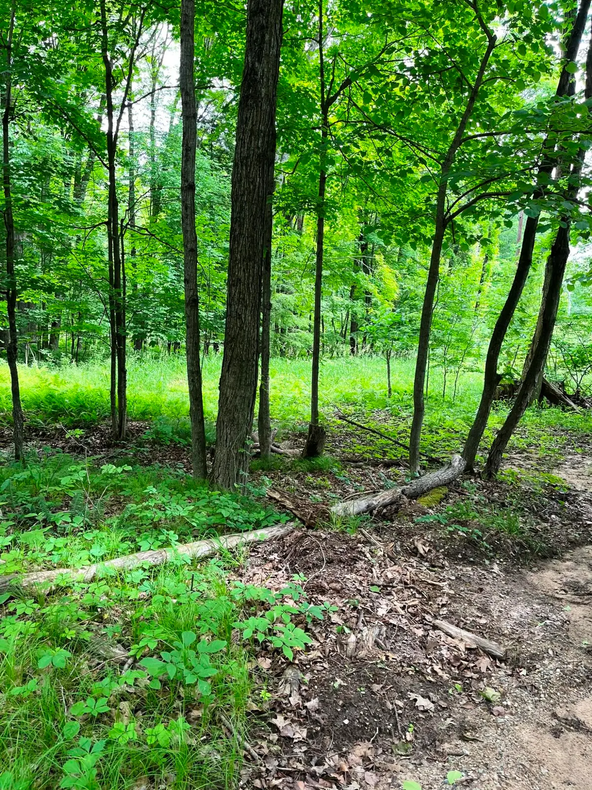 00 Pierce Road, Stanwood, MI 49346 - #1