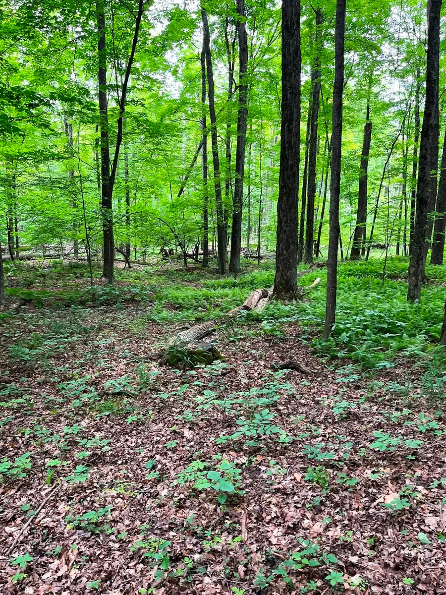00 Pierce Road, Stanwood, MI 49346 - #3