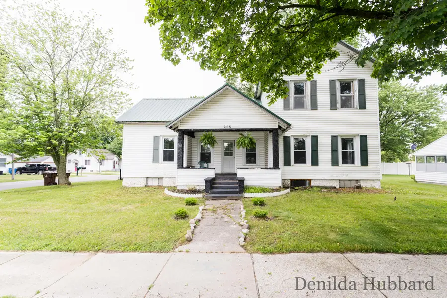 205 N Lincoln Avenue, Lakeview, MI 48850 - #2