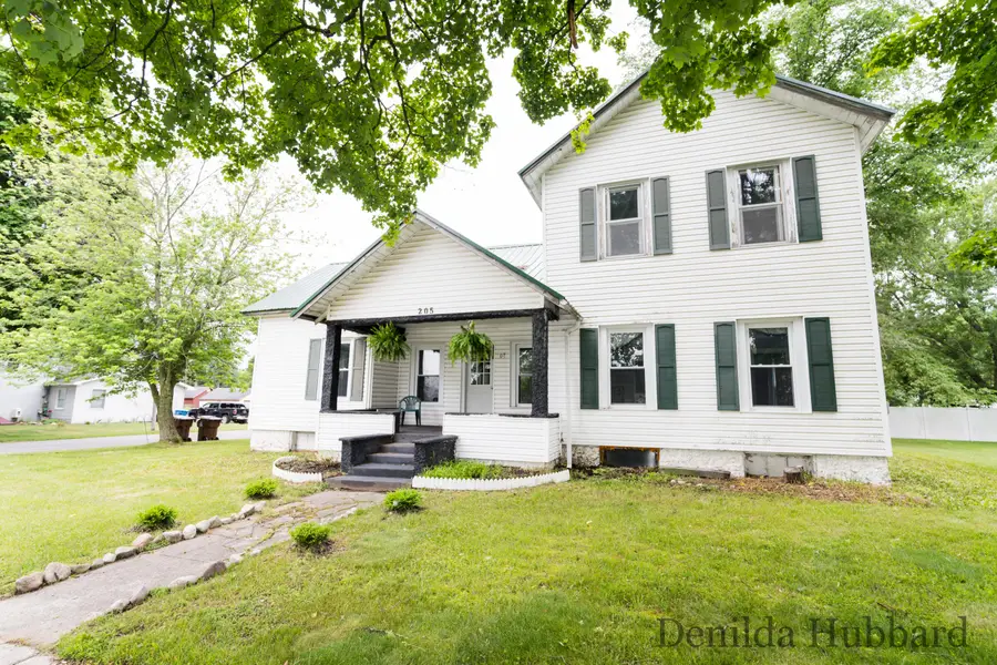 205 N Lincoln Avenue, Lakeview, MI 48850 - #3