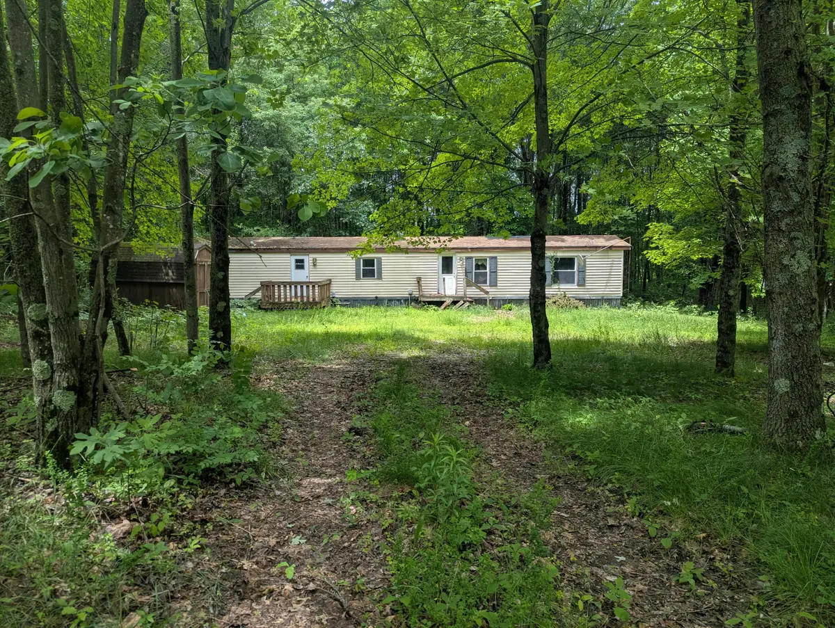 1307 N Blacksmith Lane, White Cloud, MI 49349 - #1