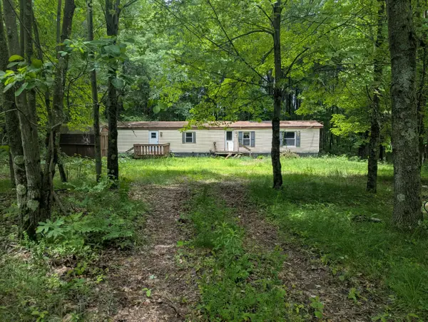 1307 N Blacksmith Lane, White Cloud, MI 49349