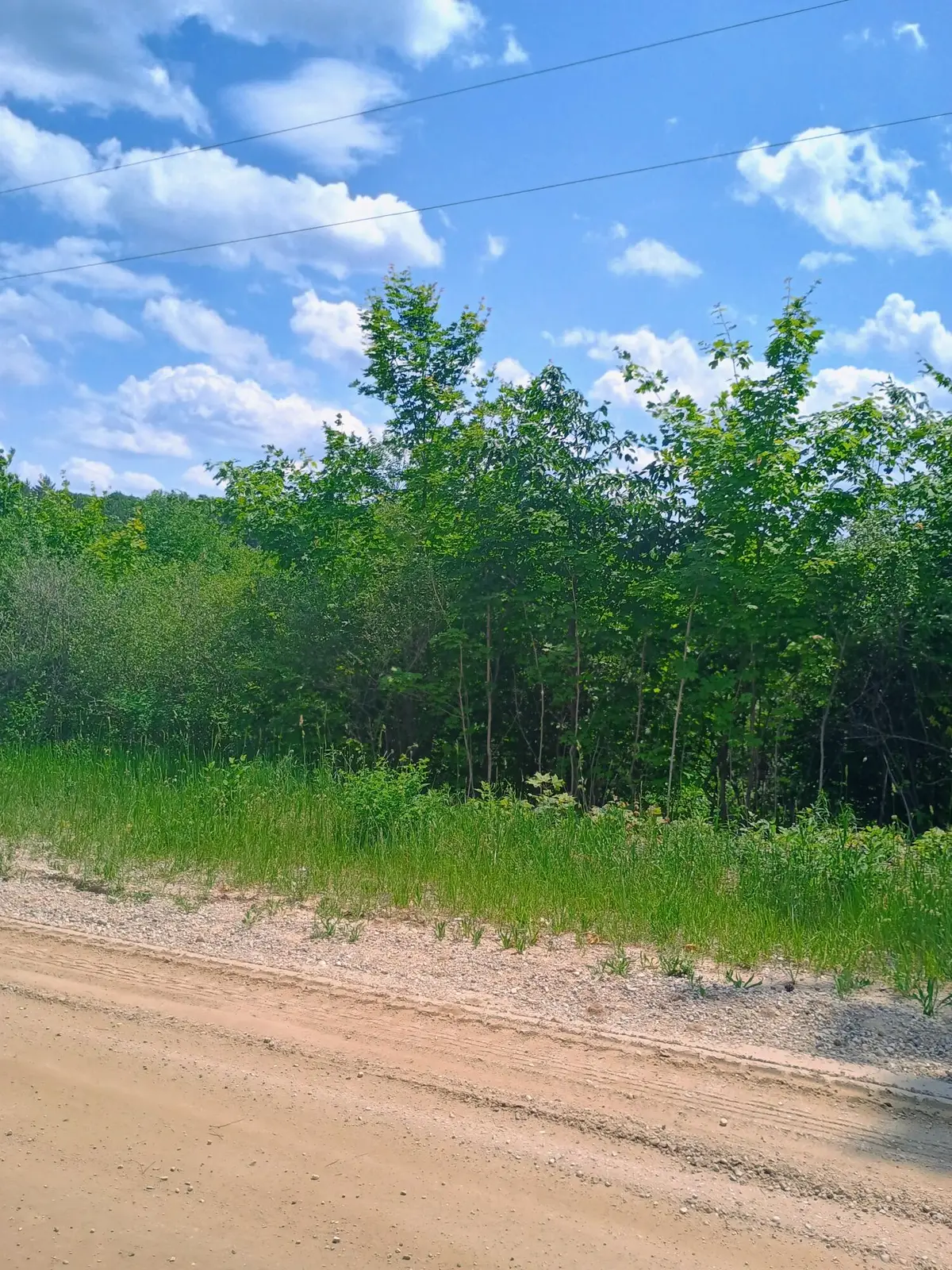 000 Pontius Road Se, Kalkaska, MI 49646 - #1