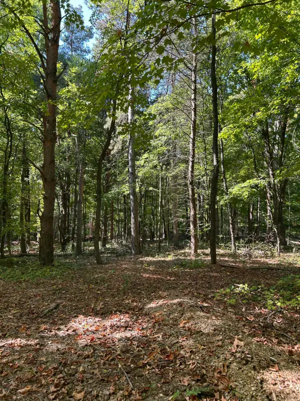 8980 Sailor Drive Se, Byron Center, MI 49315