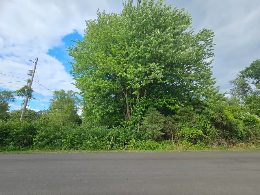 0 V/L Carlysle Drive, Brooklyn, MI 49230 - #3