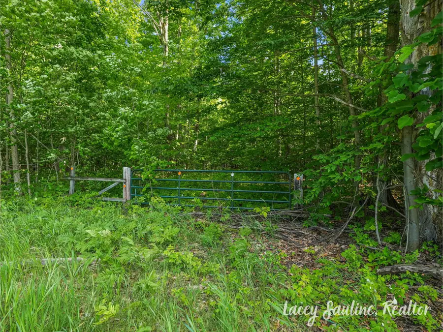 0 W Finkle Road, McBain, MI 49657 - #3