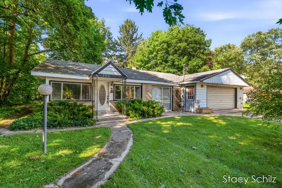 509 Reed Street, Nashville, MI 49073 - #2