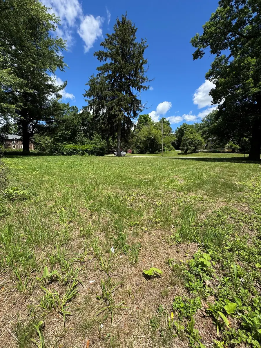 603 Williams Street, Albion, MI 49224 - #2