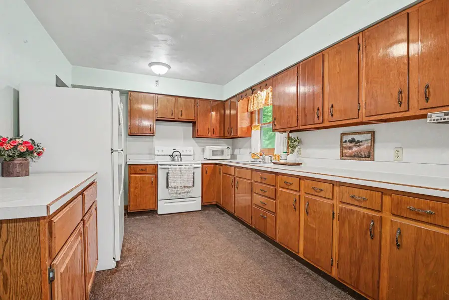 1100 Adolph Road, Union City, MI 49094 - #3