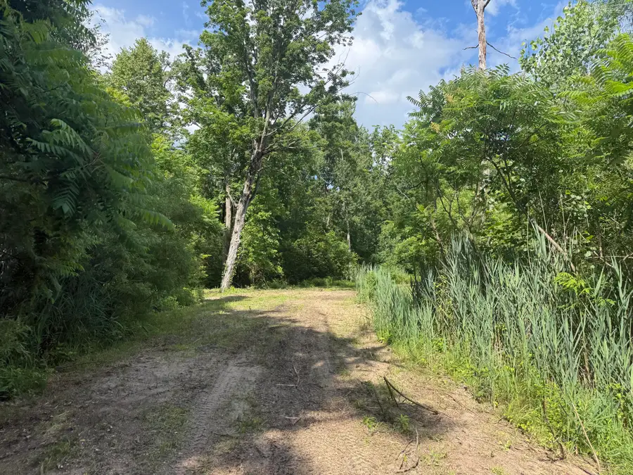 V/L Calvin Center Road, Cassopolis, MI 49031 - #2