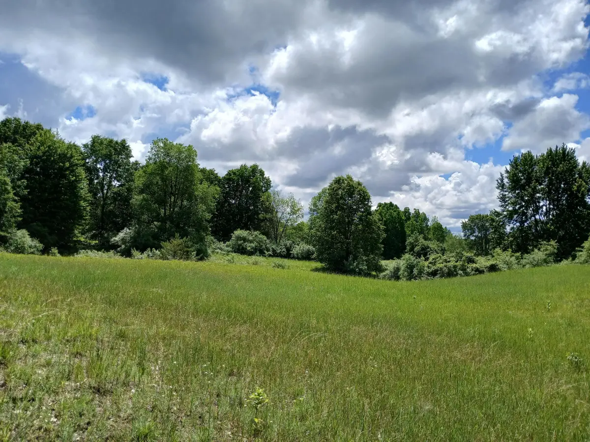 24A E Beyer Road, Fountain, MI 49410 - #1