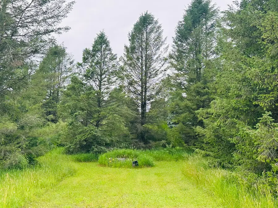 5372 Milarch Road, Manistee, MI 49660 - #2