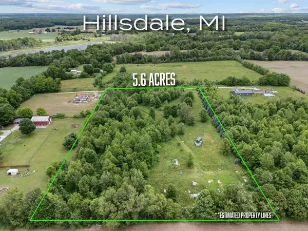 6691 W Hallett Road, Hillsdale, MI 49242 - #1