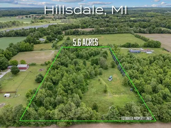 6691 W Hallett Road, Hillsdale, MI 49242 - #2