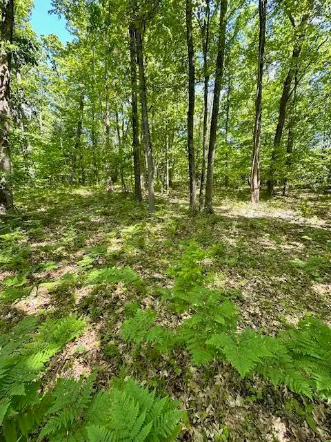 Par B 15 Mile Road, Big Rapids, MI 49307 - #1