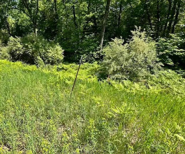 Par B 15 Mile Road, Big Rapids, MI 49307 - #2