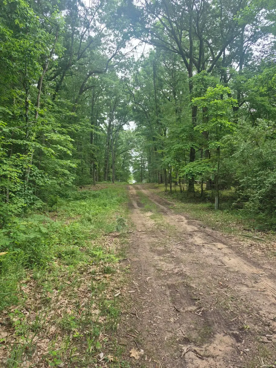6622 E Spruce Road, Fountain, MI 49410 - #3
