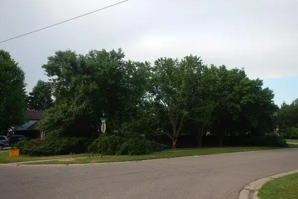 VL South Demorrow Road, Stevensville, MI 49127