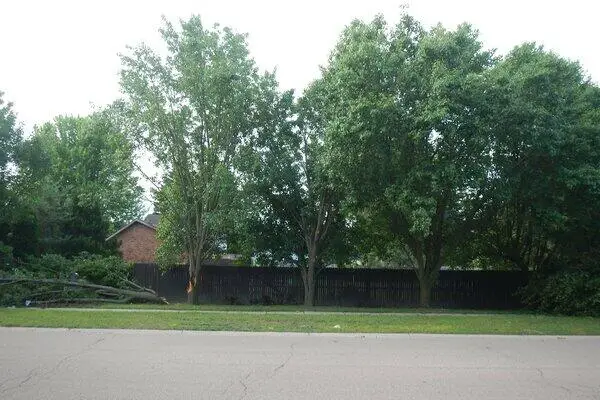 VL South Demorrow Road, Stevensville, MI 49127 - #3