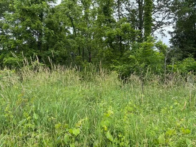 VL 56th Street #Lot C, Fennville, MI 49408 - #3