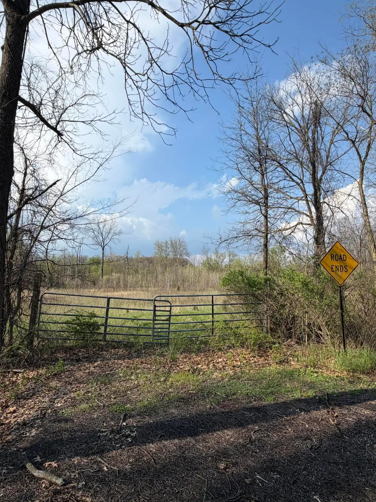V/L S River Road, Battle Creek, MI 49014 - #1